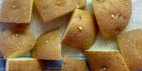 Kako pravilno rezati krompir za sadnju